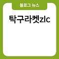 탁구 라켓 고르는법 규격 zlc 그립 고무