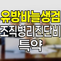 KB손보 유방바늘생검조직병리진단비 특약 심층 분석