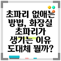 초파리 없애는 방법, 화장실 초파리가 생기는 이유 도대체 뭘까?