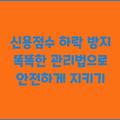 신용점수 하락 방지 똑똑한 관리법으로 안전하게 지키기
