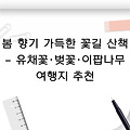 봄 향기 가득한 꽃길 산책 – 유채꽃·벚꽃·이팝나무 여행지 추천
