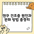 안구 건조증 원인과 완화 방법 총정리