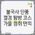 경주 불국사 단풍 명소 탐방 코스: 가을 정취 가득한 절경을 만나다