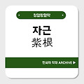 자근(紫根)