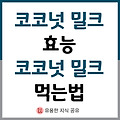 코코넛 밀크 효능, 코코넛 밀크 먹는법