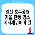 일산호수공원 메타세쿼이아 길, 가을 정취 가득한 경기도 단풍 명소!