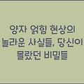 양자 얽힘 현상의 놀라운 사실들, 당신이 몰랐던 비밀들