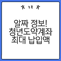 알짜 정보! 청년도약계좌 최대 납입액