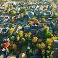 Seattle's Rental Market in 2024-2025: A Deep Dive into Recent Price Changes