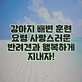 강아지 배변 훈련 요령 사랑스러운 반려견과 행복하게 지내자!