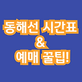 📌 동해선 시간표 & 예매 꿀팁! (부산·포항·강릉)