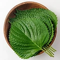 깻잎(Sesame leaf)의 건강 파워! 신선한 향과 함께 찾아오는 생기!!