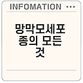 망막모세포종이란 무엇인가요