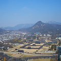 2025.04.04. 11:22 상식을 찾은 날