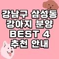 강남구 삼성동 강아지 분양 추천 BEST 4곳 리스트