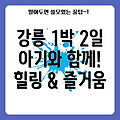 아기와 함께 떠나는 강릉 1박 2일 주말 여행: 힐링과 즐거움을 한 번에!