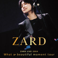 자드 - 왓 어 뷰티풀 모먼트 투어 (ZARD - What a beautiful moment tour, 2022) [2022-09-28 개봉]