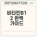 비타민B12 효능과 부작용 총정리