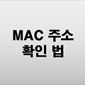 MAC 주소 확인 법