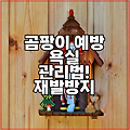 곰팡이 예방 욕실 관리법! 재발방지