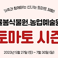 율봄식물원 토마토 시즌 : 가족과 함께하는 신나는 토마토 체험