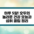 하루 5알! 호두의 놀라운 건강 효능과 섭취 꿀팁 정리
