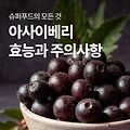[건강정보] 슈퍼푸드 아사이베리의 효능 어디까지 아시나요? 아사이베리의 효능과 주의사항 알아보자!
