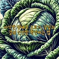 아삭한 양배추 고르기, 겉잎과 결의 신선함 확인하는 법