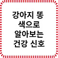 강아지 똥 색으로 알아보는 건강 신호(알아두면 좋은 정보)