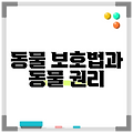 동물 보호법과 동물 권리