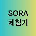 SORA 사용기 : AI로 영화 한 편 만든다고? 직접 써본 후기