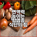 면역력 높이는 항염증 식단의 힘