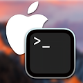 [macOS] 개발 환경 구성: 터미널