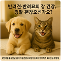 반려견·반려묘의 장 건강, 정말 괜찮으신가요?– 전문가가 추천하는 LactoBif Pet 유산균 리뷰