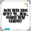 녹차 말차 차이 무엇? 맛, 효능, 카페인 함량 다를까?