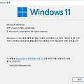 windows11 인사이더 프리뷰 빌드 22000.168 발표