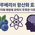 블루베리의 항산화 효과｜치매 예방에 과학이 주목한 이유