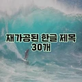 재가공된 한글 제목 30개