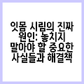 잇몸 시림의 진짜 원인: 놓치지 말아야 할 중요한 사실들과 해결책