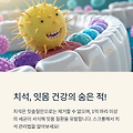치석 제거의 핵심, 스케일링: 주기적인 관리가 왜 필요할까요?