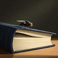 이그노벨상 _ 2012년 이그노벨 문학상의 기묘한 걸작, 죽은 파리의 장대한 서사시