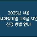 2025년 서울 사회적기업 보조금 지원 신청 방법 안내