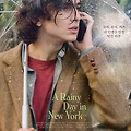 레이니 데이 인 뉴욕( A Rainy Day in New York, 2019) [티모시 샬라메, 봄빛 로맨스][2024-03-13 재개봉]