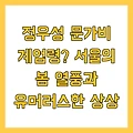 정우성 문가비 계엄령? 서울의 봄 열풍과 유머러스한 상상