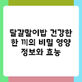 달걀말이밥 건강한 한 끼의 비밀 영양 정보와 효능
