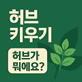 허브 키우기, 집에서 즐기는 DIY 홈가드닝