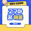 고구마 꿈 해몽[고구마 먹는 꿈, 고구마 캐는 꿈, 고구마 사는 꿈 등]