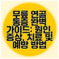 무릎 연골 통증 완벽 가이드: 원인, 증상, 치료 및 예방 방법