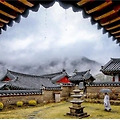 '성추문'에 '해외 원정 골프' 논란 경남 합천 대한불교조계종 해인사... 이번엔 설날 현금 걸린 윷놀이 의혹