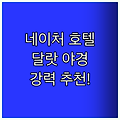 네이처 호텔 강추! 달랏 야경 명소는 바로 여기!